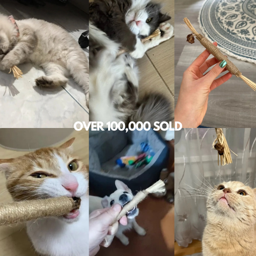 Organic Silvervine Dental Sticks