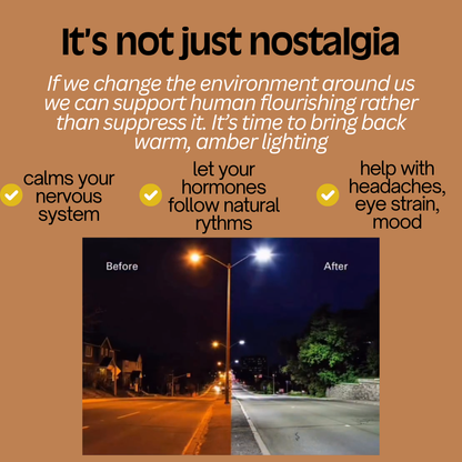 Natural Daylight Lamp