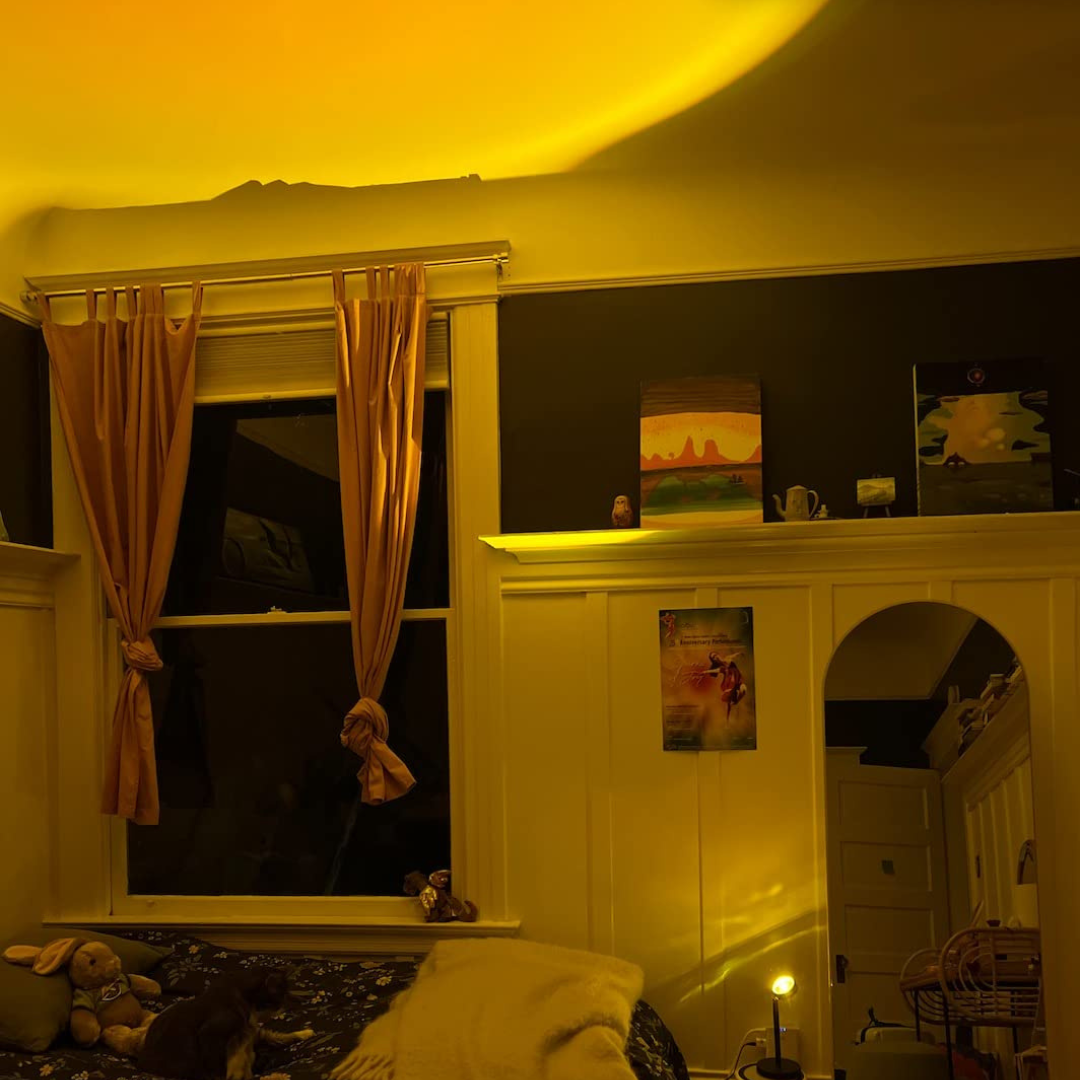 Natural Daylight Lamp