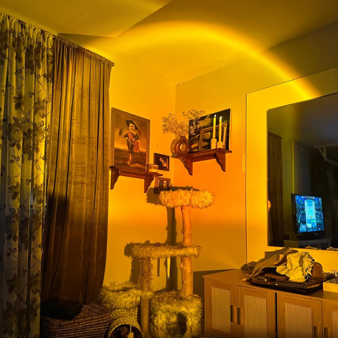 Natural Daylight Lamp