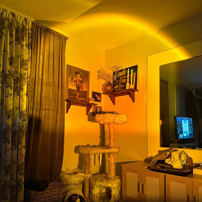 Natural Daylight Lamp