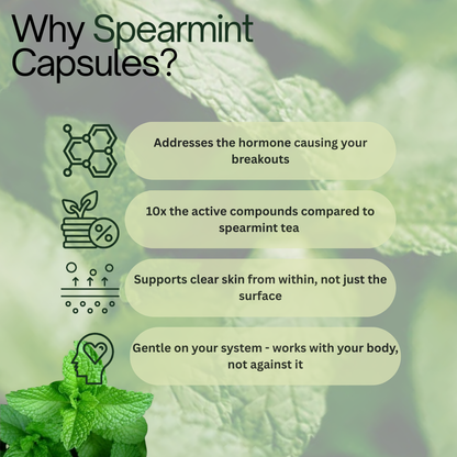 Natural Spearmint Leaf Softgels