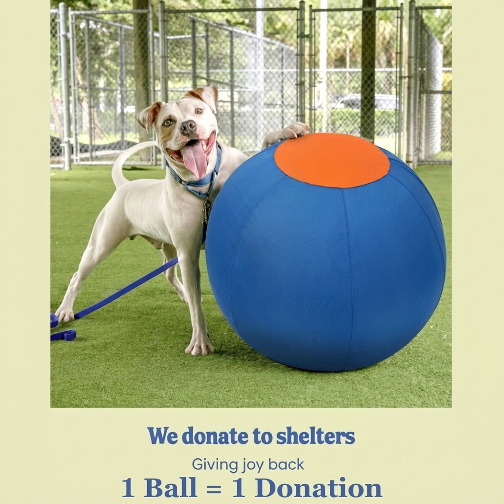 Valkyrie Herding Ball