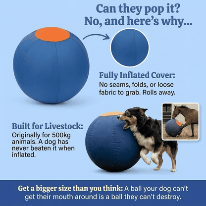 Drevit® Drijfbal voor Honden