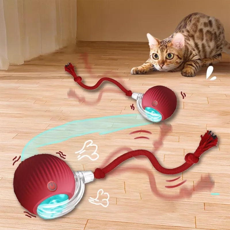 Interactive PawBall Toy