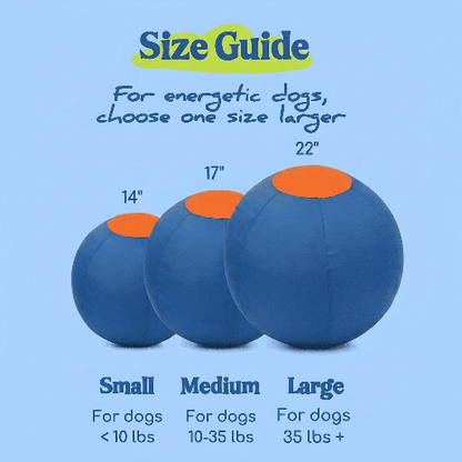 Drevit® Drijfbal voor Honden
