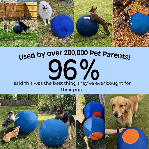 Drevit® Drijfbal voor Honden