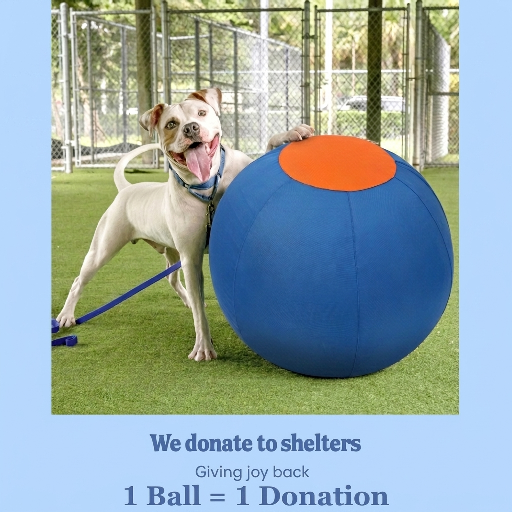 Drevit® Drijfbal voor Honden